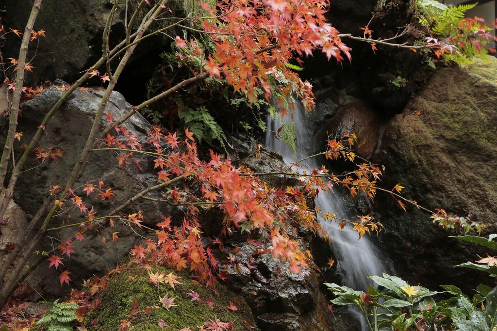Yufuin Ryokuyu Hotel Bagian luar foto